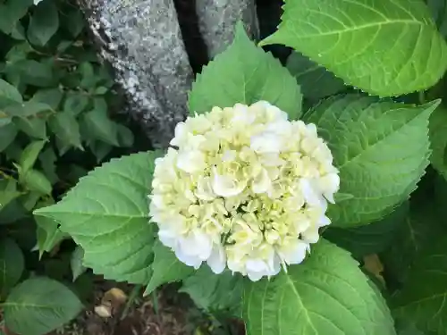 境香取神社の自然
