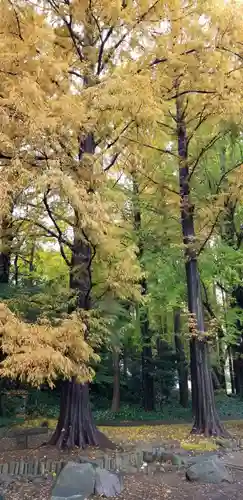 増上寺塔頭 三縁山 宝珠院の自然