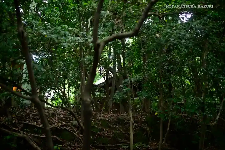 熱田神宮の自然