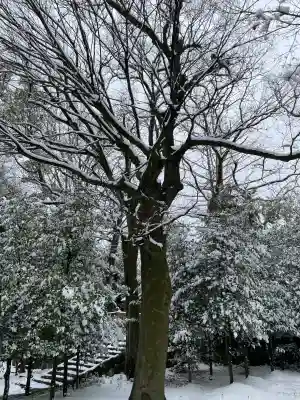 若宮神明社の{uncategorized: "未分類", other: "その他", undefined: "問題あり", building: "その他建物", grave: "お墓", sacred_gate: "鳥居", guardian: "狛犬", statue: "像", buddha: "仏像", history: "歴史", nature: "自然", garden: "庭園", animal: "動物", pagoda: "塔", temizu: "手水舎", mountain_gate: "山門・神門", sanctuary: "本殿・本堂", subordinate: "末社・摂社", art: "芸術", scenery: "景色", jizo: "地蔵", ema: "絵馬", goshuin: "御朱印", omikuji: "おみくじ", items: "授与品その他", amulet: "お守り", goshuincho: "御朱印帳", eats: "食事", festival: "お祭り", votive_dance: "神楽", shichigosan: "七五三参", wedding: "結婚式", experience: "体験その他", initially: "初詣", around: "周辺", anti_infection: "感染症対策"}