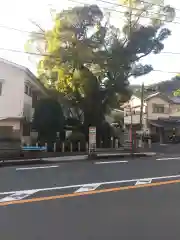 五所神社(神奈川県)