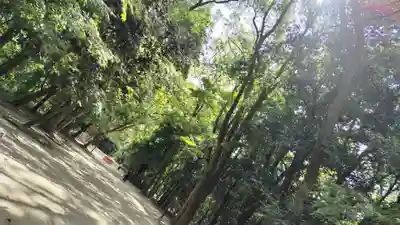 賀茂御祖神社（下鴨神社）(京都府)