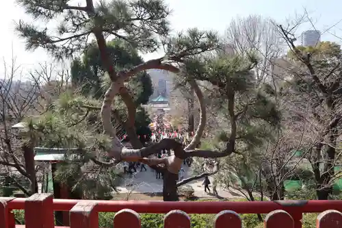 清水観音堂(東京都)