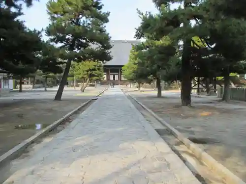 百萬遍知恩寺(京都府)