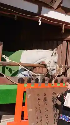 賀茂別雷神社（上賀茂神社）(京都府)