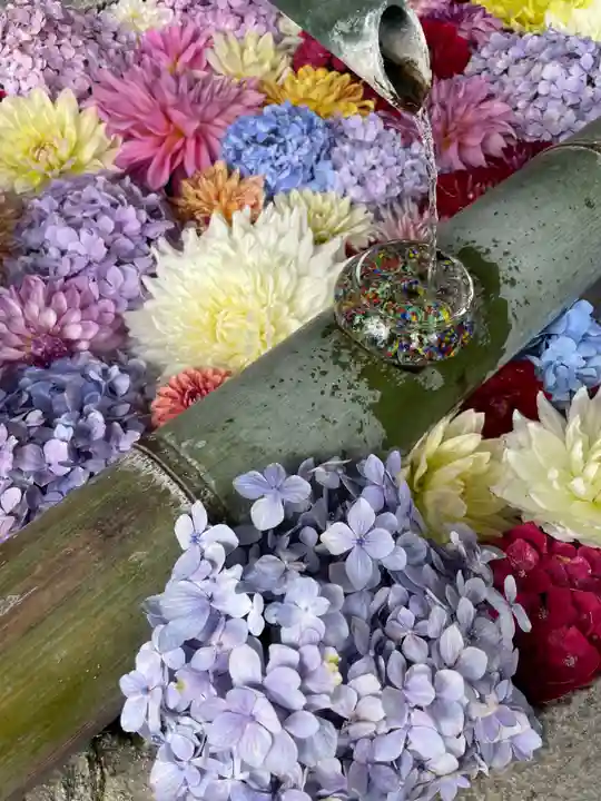 岡寺(龍蓋寺)(奈良県)