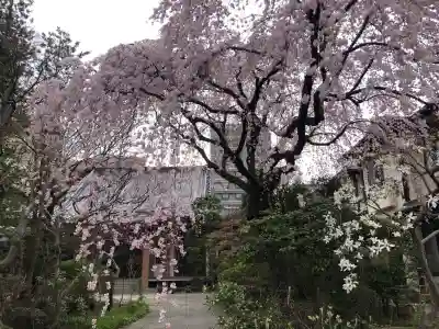 徳泉寺の{uncategorized: "未分類", other: "その他", undefined: "問題あり", building: "その他建物", grave: "お墓", sacred_gate: "鳥居", guardian: "狛犬", statue: "像", buddha: "仏像", history: "歴史", nature: "自然", garden: "庭園", animal: "動物", pagoda: "塔", temizu: "手水舎", mountain_gate: "山門・神門", sanctuary: "本殿・本堂", subordinate: "末社・摂社", art: "芸術", scenery: "景色", jizo: "地蔵", ema: "絵馬", goshuin: "御朱印", omikuji: "おみくじ", items: "授与品その他", amulet: "お守り", goshuincho: "御朱印帳", eats: "食事", festival: "お祭り", votive_dance: "神楽", shichigosan: "七五三参", wedding: "結婚式", experience: "体験その他", initially: "初詣", around: "周辺", anti_infection: "感染症対策"}