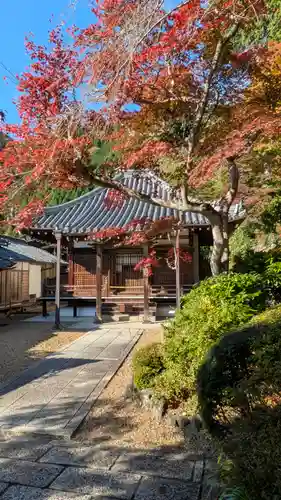 善峯寺(京都府)