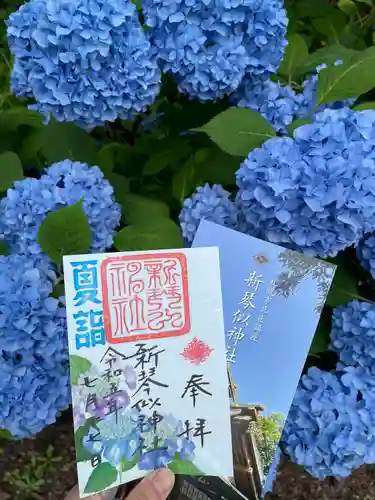 新琴似神社の御朱印