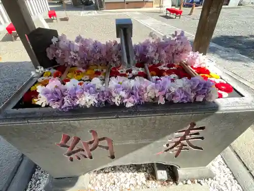 草加神社の手水