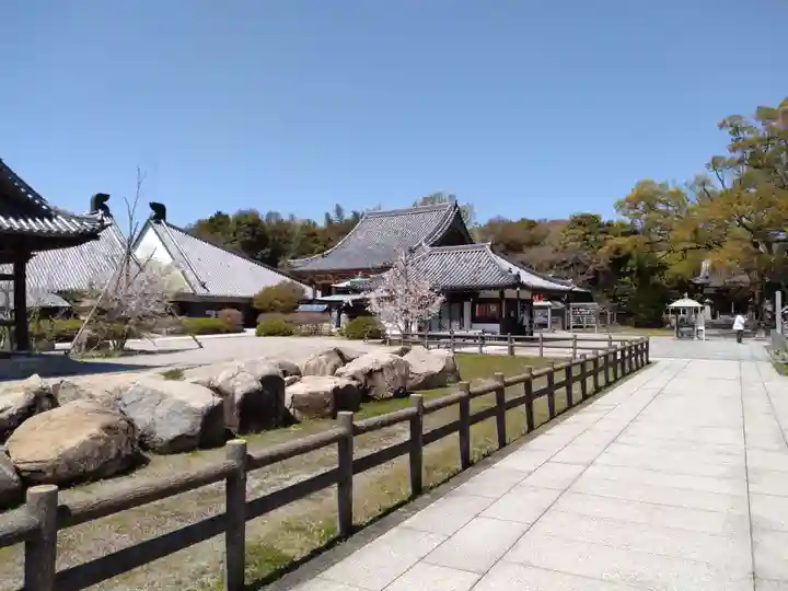 屋島寺(香川県)