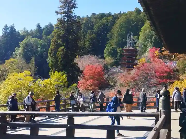 長谷寺(奈良県)