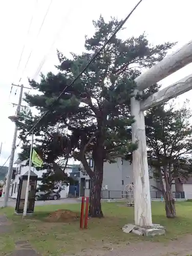 津別神社の鳥居