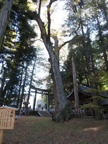 諏訪大社のその他建物