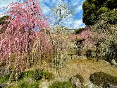 城南宮(京都府)