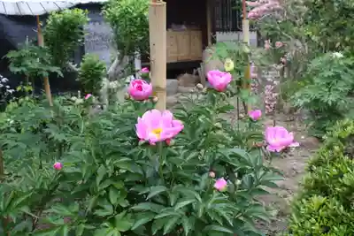 松室院(奈良県)
