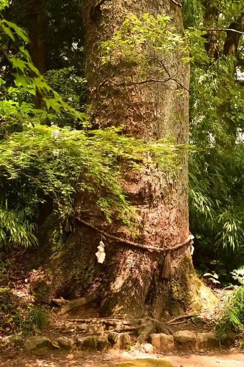 土佐神社(高知県)