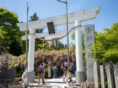 金蛇水神社の{uncategorized: "未分類", other: "その他", undefined: "問題あり", building: "その他建物", grave: "お墓", sacred_gate: "鳥居", guardian: "狛犬", statue: "像", buddha: "仏像", history: "歴史", nature: "自然", garden: "庭園", animal: "動物", pagoda: "塔", temizu: "手水舎", mountain_gate: "山門・神門", sanctuary: "本殿・本堂", subordinate: "末社・摂社", art: "芸術", scenery: "景色", jizo: "地蔵", ema: "絵馬", goshuin: "御朱印", omikuji: "おみくじ", items: "授与品その他", amulet: "お守り", goshuincho: "御朱印帳", eats: "食事", festival: "お祭り", votive_dance: "神楽", shichigosan: "七五三参", wedding: "結婚式", experience: "体験その他", initially: "初詣", around: "周辺", anti_infection: "感染症対策"}