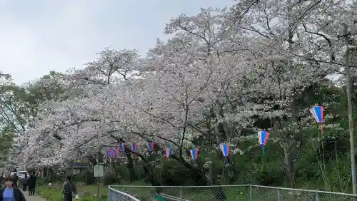 香取神宮の{uncategorized: "未分類", other: "その他", undefined: "問題あり", building: "その他建物", grave: "お墓", sacred_gate: "鳥居", guardian: "狛犬", statue: "像", buddha: "仏像", history: "歴史", nature: "自然", garden: "庭園", animal: "動物", pagoda: "塔", temizu: "手水舎", mountain_gate: "山門・神門", sanctuary: "本殿・本堂", subordinate: "末社・摂社", art: "芸術", scenery: "景色", jizo: "地蔵", ema: "絵馬", goshuin: "御朱印", omikuji: "おみくじ", items: "授与品その他", amulet: "お守り", goshuincho: "御朱印帳", eats: "食事", festival: "お祭り", votive_dance: "神楽", shichigosan: "七五三参", wedding: "結婚式", experience: "体験その他", initially: "初詣", around: "周辺", anti_infection: "感染症対策"}