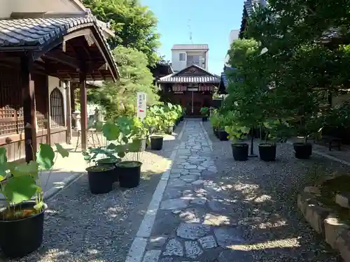 行願寺（革堂）のその他建物