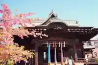 桜神宮の{uncategorized: "未分類", other: "その他", undefined: "問題あり", building: "その他建物", grave: "お墓", sacred_gate: "鳥居", guardian: "狛犬", statue: "像", buddha: "仏像", history: "歴史", nature: "自然", garden: "庭園", animal: "動物", pagoda: "塔", temizu: "手水舎", mountain_gate: "山門・神門", sanctuary: "本殿・本堂", subordinate: "末社・摂社", art: "芸術", scenery: "景色", jizo: "地蔵", ema: "絵馬", goshuin: "御朱印", omikuji: "おみくじ", items: "授与品その他", amulet: "お守り", goshuincho: "御朱印帳", eats: "食事", festival: "お祭り", votive_dance: "神楽", shichigosan: "七五三参", wedding: "結婚式", experience: "体験その他", initially: "初詣", around: "周辺", anti_infection: "感染症対策"}