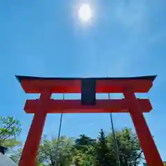 津島神社の鳥居