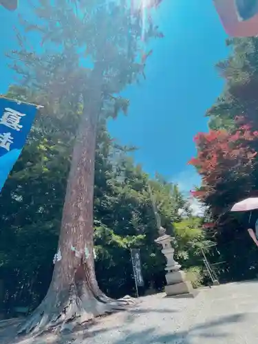 滑川神社 - 仕事と子どもの守り神(福島県)