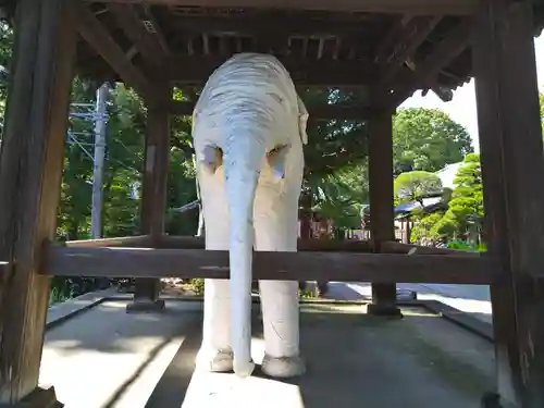 観音寺のその他建物