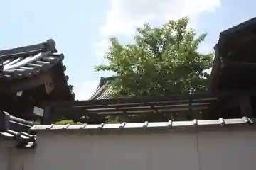 明善寺(奈良県)