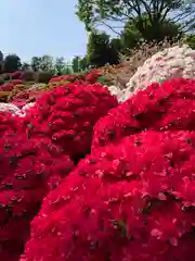 根津神社の庭園