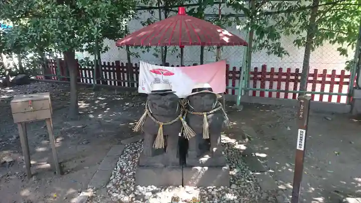浅草神社の狛犬