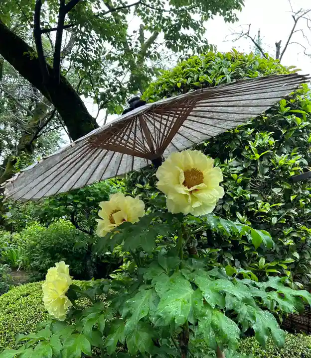 上野東照宮の自然