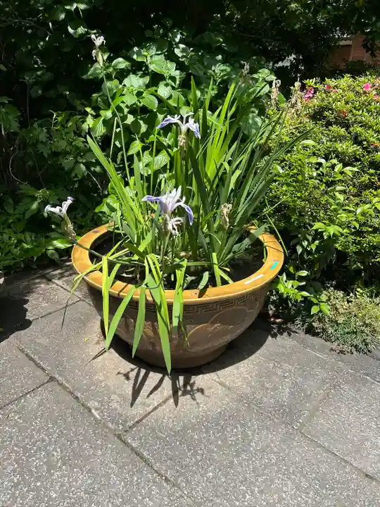 阿佐ヶ谷神明宮(東京都)