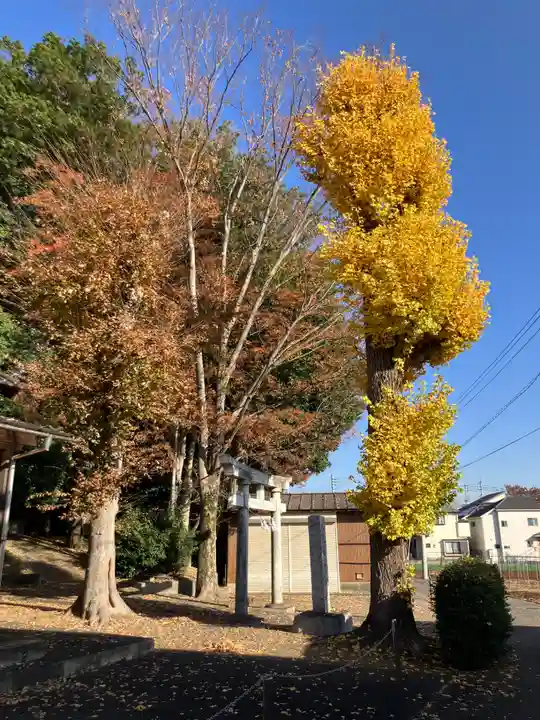 人見稲荷神社(東京都)