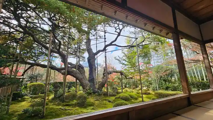 宝泉院(京都府)
