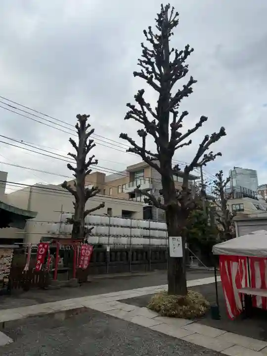 麻布氷川神社の{uncategorized: "未分類", other: "その他", undefined: "問題あり", building: "その他建物", grave: "お墓", sacred_gate: "鳥居", guardian: "狛犬", statue: "像", buddha: "仏像", history: "歴史", nature: "自然", garden: "庭園", animal: "動物", pagoda: "塔", temizu: "手水舎", mountain_gate: "山門・神門", sanctuary: "本殿・本堂", subordinate: "末社・摂社", art: "芸術", scenery: "景色", jizo: "地蔵", ema: "絵馬", goshuin: "御朱印", omikuji: "おみくじ", items: "授与品その他", amulet: "お守り", goshuincho: "御朱印帳", eats: "食事", festival: "お祭り", votive_dance: "神楽", shichigosan: "七五三参", wedding: "結婚式", experience: "体験その他", initially: "初詣", around: "周辺", anti_infection: "感染症対策"}