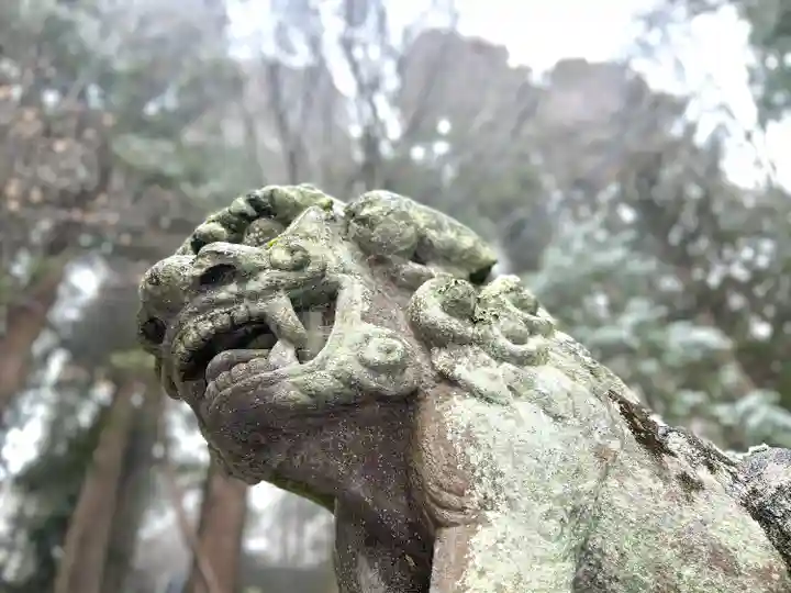 戸隠神社宝光社(長野県)