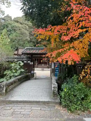 宇治上神社(京都府)