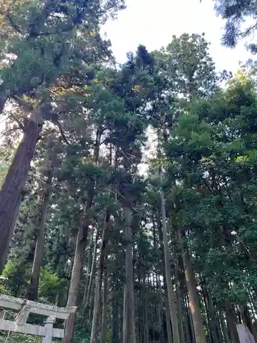 大宮温泉神社(栃木県)