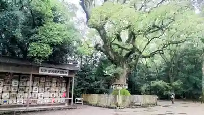 熱田神宮(愛知県)