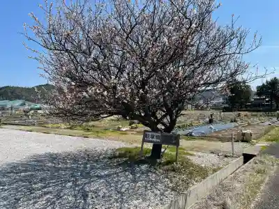 大谷吉継の首塚地蔵の{uncategorized: "未分類", other: "その他", undefined: "問題あり", building: "その他建物", grave: "お墓", sacred_gate: "鳥居", guardian: "狛犬", statue: "像", buddha: "仏像", history: "歴史", nature: "自然", garden: "庭園", animal: "動物", pagoda: "塔", temizu: "手水舎", mountain_gate: "山門・神門", sanctuary: "本殿・本堂", subordinate: "末社・摂社", art: "芸術", scenery: "景色", jizo: "地蔵", ema: "絵馬", goshuin: "御朱印", omikuji: "おみくじ", items: "授与品その他", amulet: "お守り", goshuincho: "御朱印帳", eats: "食事", festival: "お祭り", votive_dance: "神楽", shichigosan: "七五三参", wedding: "結婚式", experience: "体験その他", initially: "初詣", around: "周辺", anti_infection: "感染症対策"}