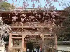 醍醐寺(京都府)