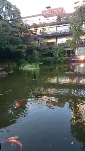 東郷神社の庭園