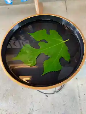 高麗神社のその他建物