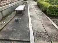 本成院(東京都)