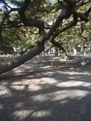 御穂神社の建物その他