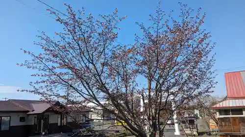 厚岸神社の自然