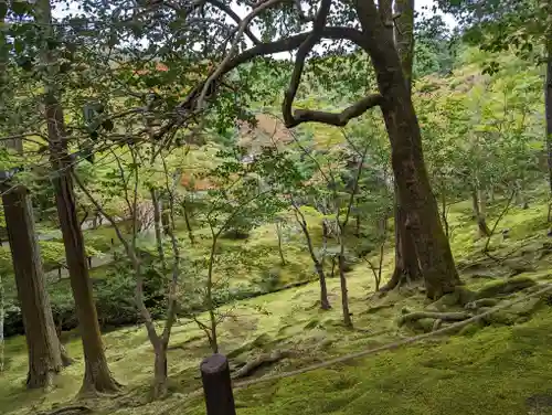 慈照寺（慈照禅寺・銀閣寺）(京都府)