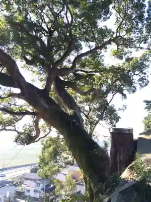 千栗八幡宮(佐賀県)