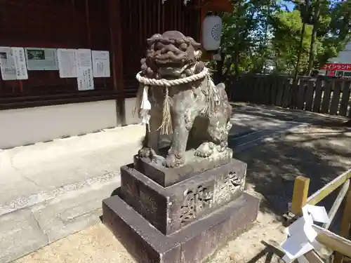 柴籬神社の狛犬